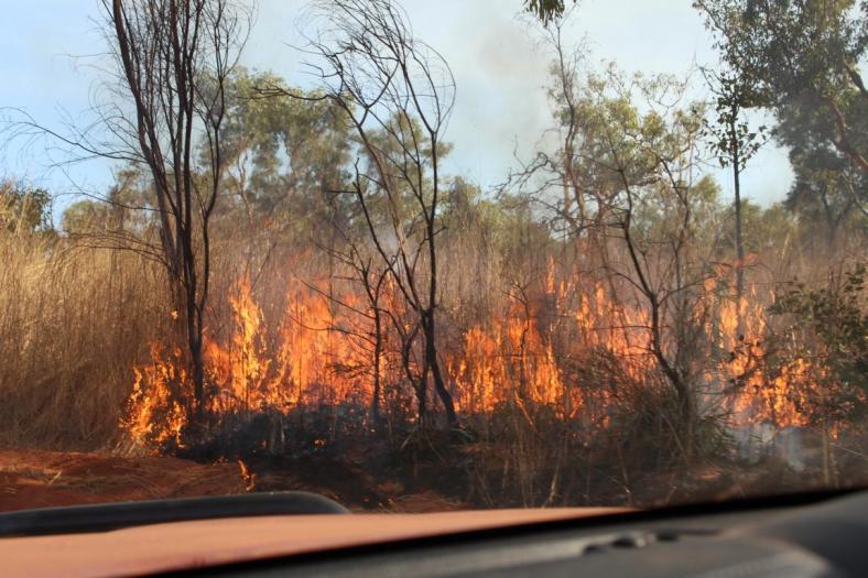 Schnell vorbeifahren, ein von Aborigines gelegtes Feuer auf dem Weg nach Cape Leveque