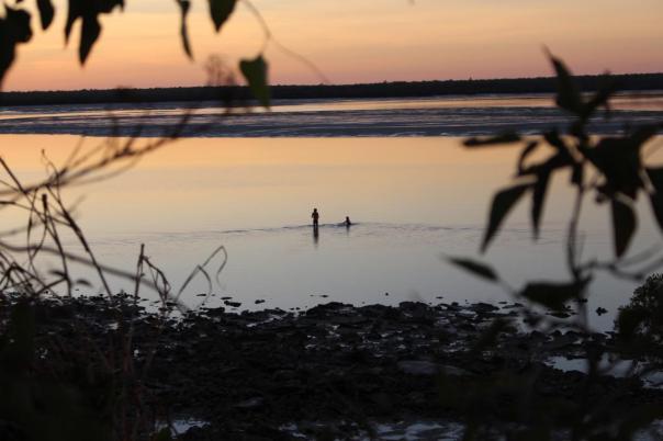 Immer wieder gibt es Tote durch Krokodile bei solchen Aktionen, Gumbanan Camp