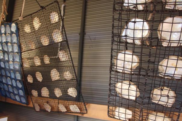 Austernkäfige, die zur Demonstration mit Austerschalen gefüllt sind