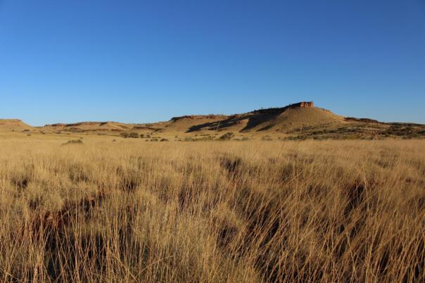Umgebung, Carawine Gorge
