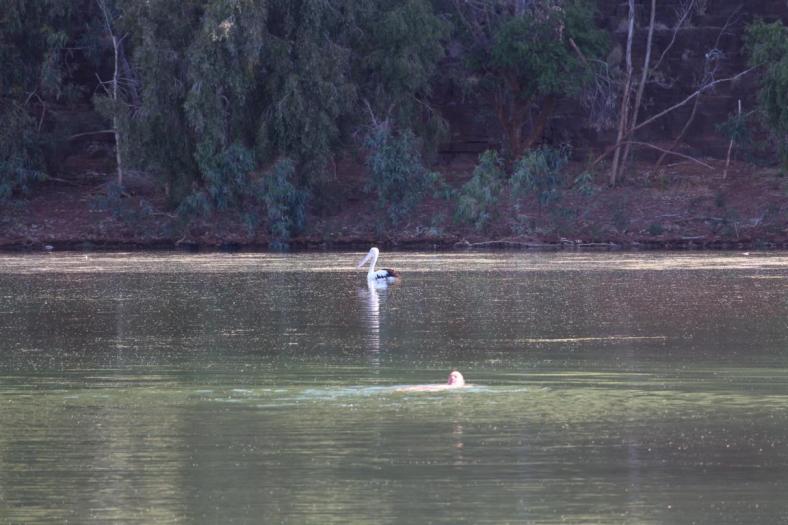 Thomas in Gesellschaft, Carawine Gorge