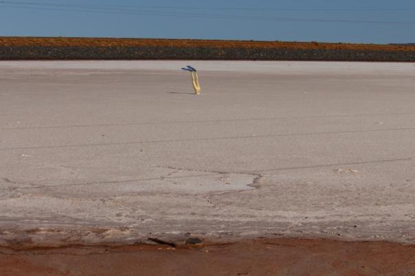 Tauchen im Salzsee, Karratha