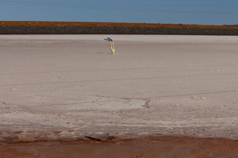 Tauchen im Salzsee, Karratha