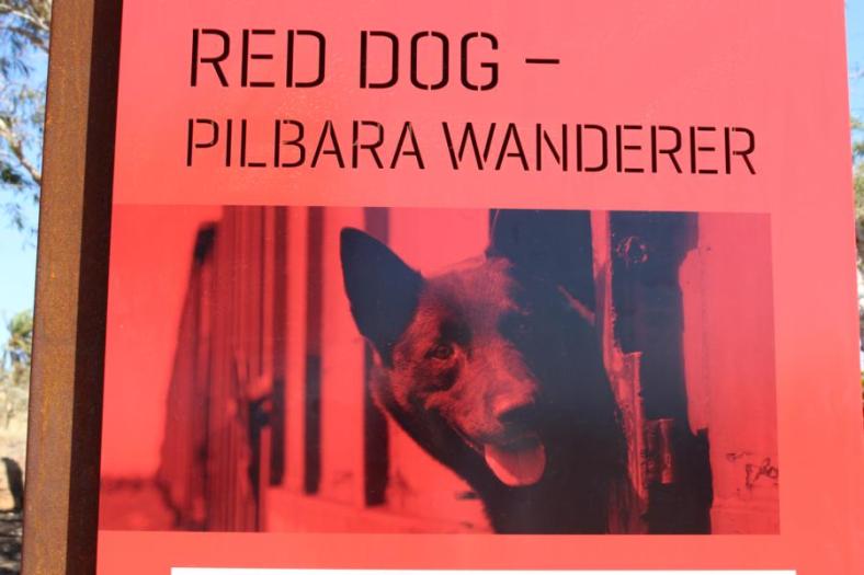 Red Dog fährt auch im Zug auf der Suche nach seinem Herrn