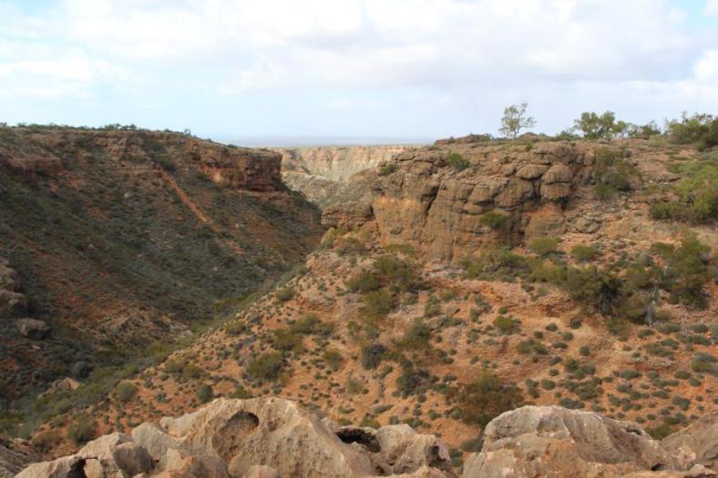 Charles Knife Gorge Road, Cape Range NP