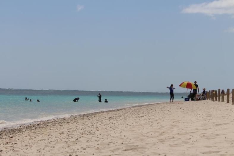 So große Fische sind im Wasser, Turquoise Bay, Cape Range NP