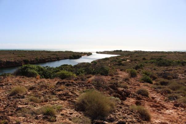Yardie Creek, Cape Range NP