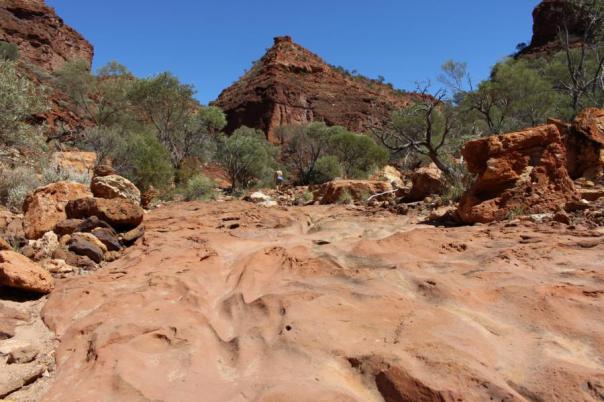 Temple Gorge, Kennedy Range NP