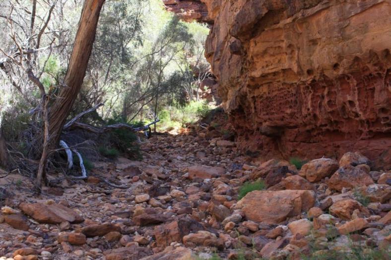 Temple Gorge, Kennedy Range NP