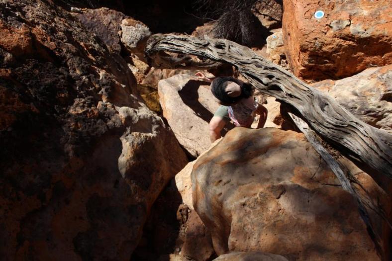 Temple Gorge, Kennedy Range NP