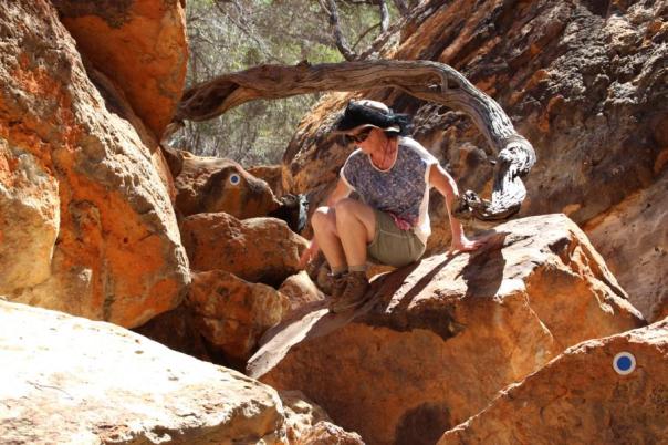Drapers Gorge, Kennedy Range NP