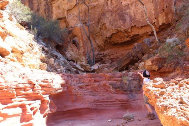 Temple Gorge, Kennedy Range NP