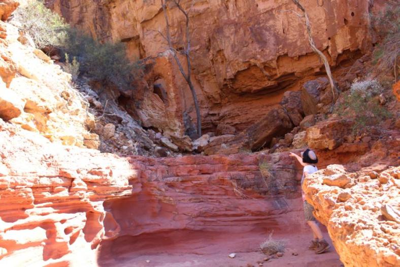 Temple Gorge, Kennedy Range NP