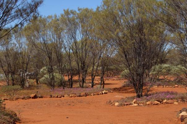 Campingplatz, Kennedy Range NP
