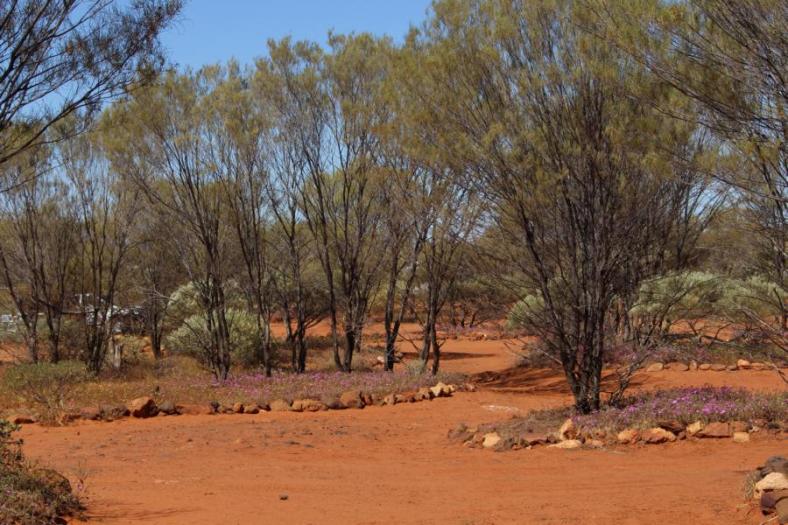 Campingplatz, Kennedy Range NP