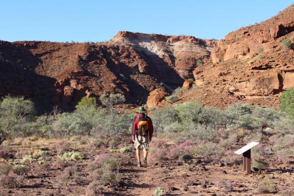 Auf zum Escarpment Trail, Kennedy Range NP