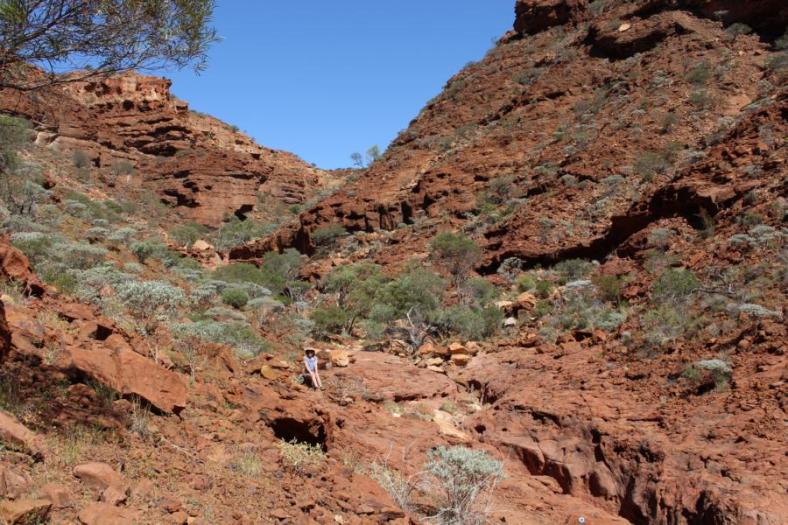 Drapers Gorge, Kennedy Range NP