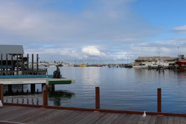 Fishing Boat Harbour Fremantle