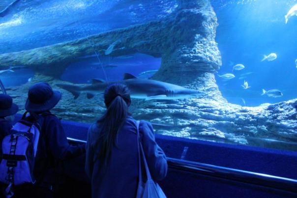 Auf dem Fließband ganz nahe dran