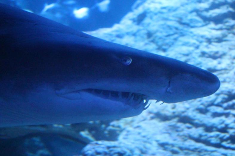 Wir sind froh über die Glaswand