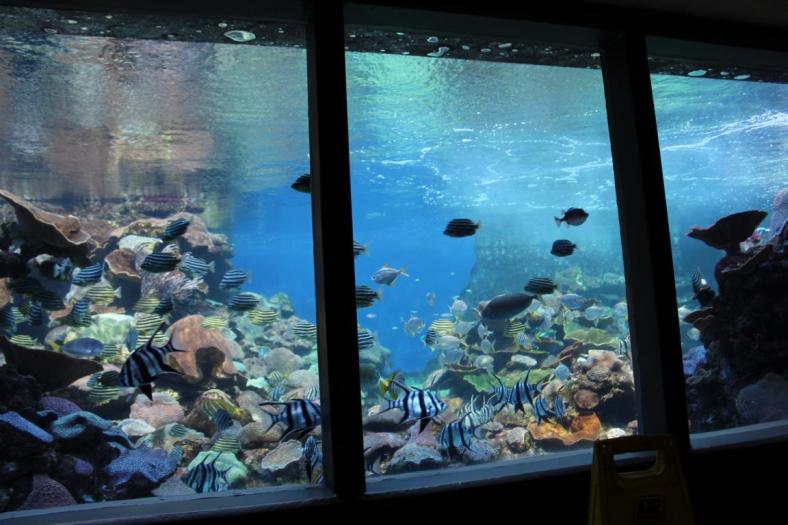 Toller Platz zum Verweilen