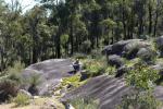 John Forrest NP