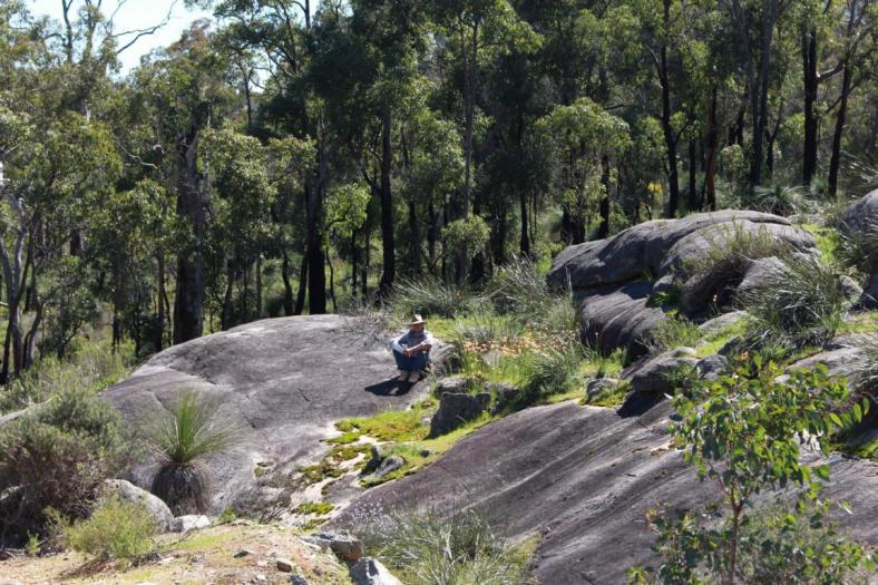 John Forrest NP