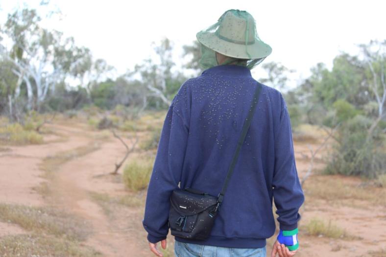 Ohne Fliegennetz ist es nicht zu ertragen, Murchison River
