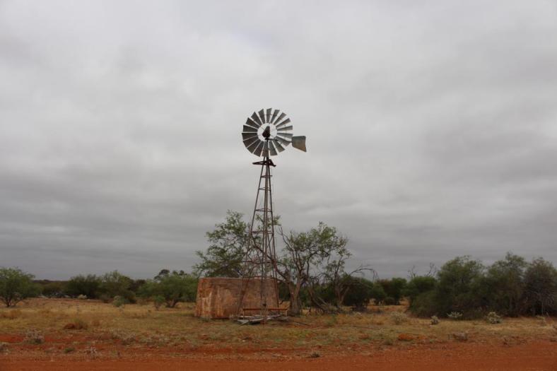 Windmill immer wieder zur Viehtränke