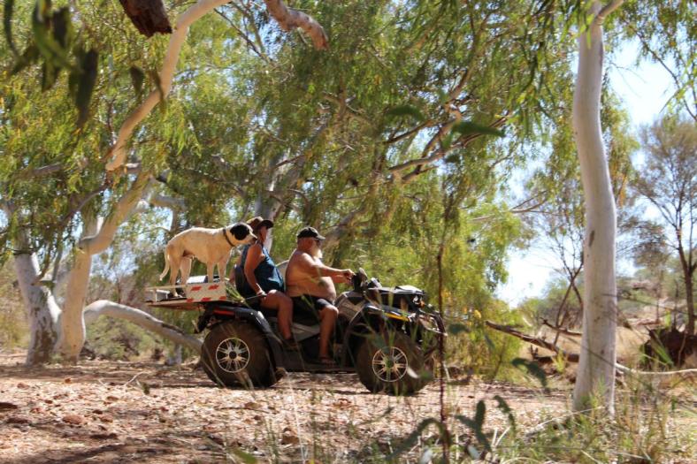 Ken, Annie und Spud erkunden die Gegend, Bilung Pool