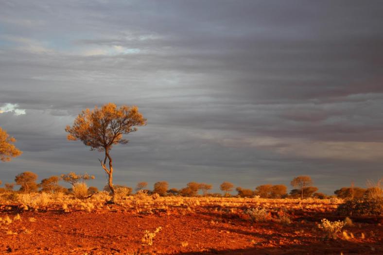 Sonnenuntergang am Bilung Pool