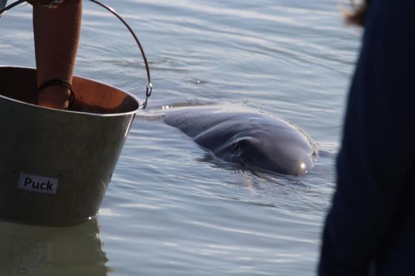 Mach schon, ich habe Hunger