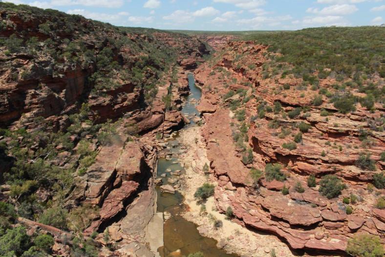 Der Murchison River schlängelt sich durch, Kalbarri NP