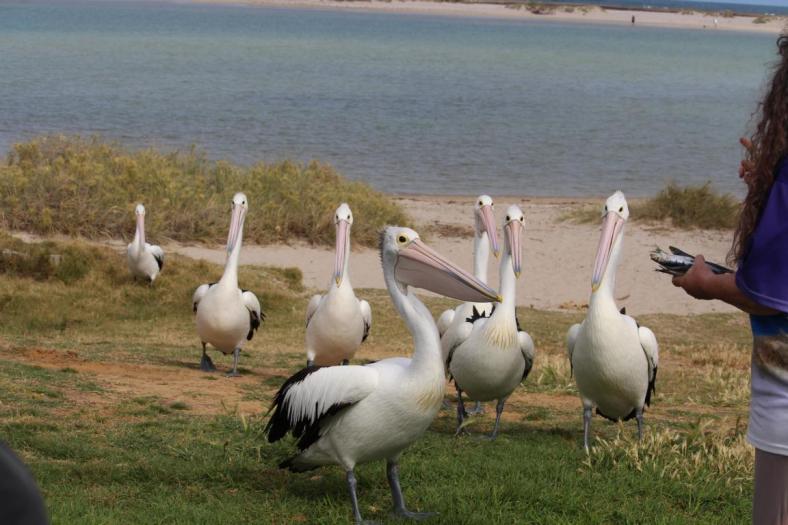 Warten auf den Fisch