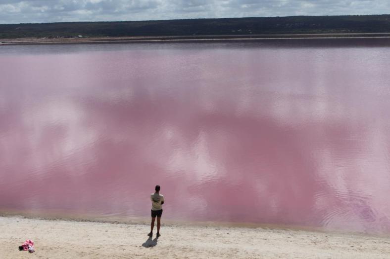 Pink Lake