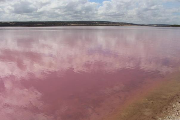 Pink Lake