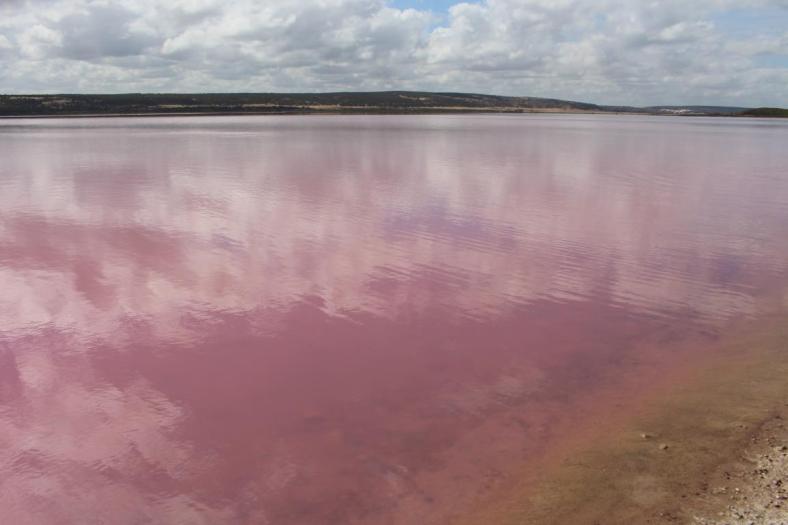 Pink Lake