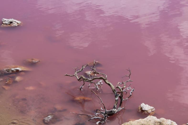 Mineralien am Pink Lake