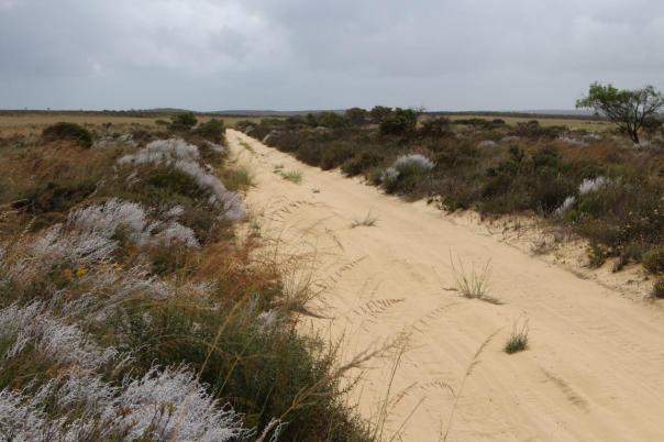 Sandpiste zur Stockyard Gully Caves