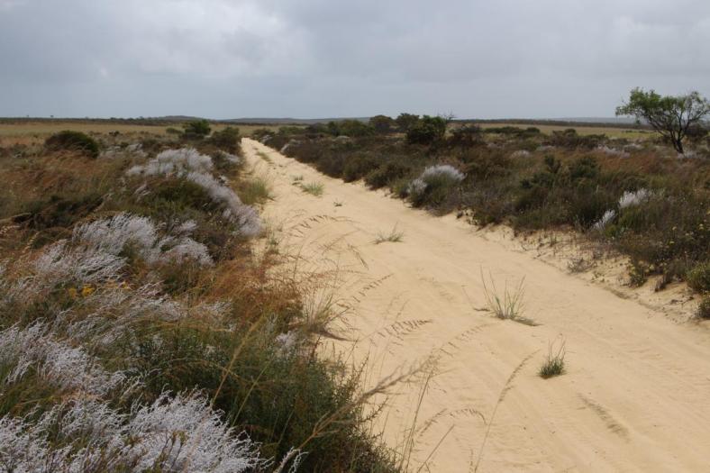 Sandpiste zur Stockyard Gully Caves