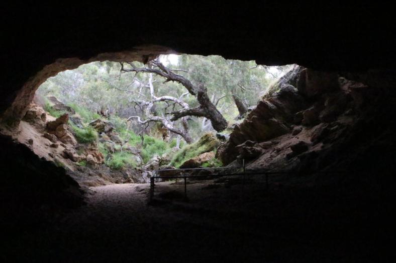 Stockyard Gully Caves