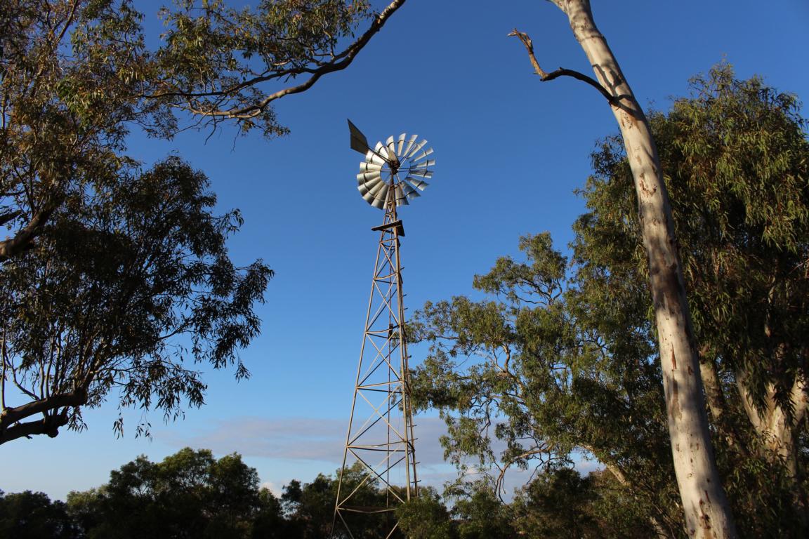 Eine Windmill neben unserem Camp, Lake Indoon