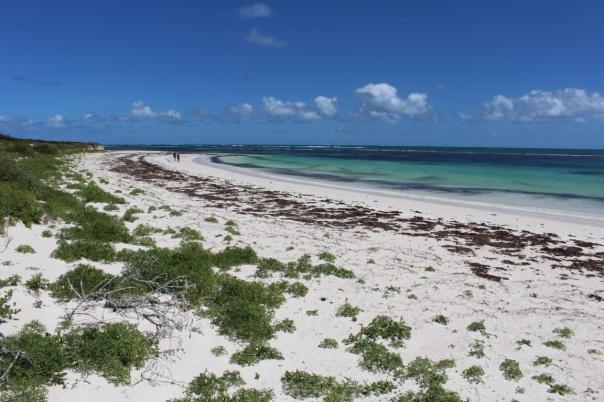 Nambung NP