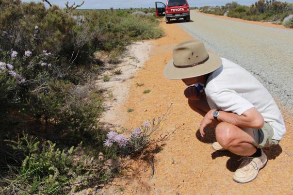 Wir sind immer wieder erstaunt, was die Natur hervorbringt, Lesueur NP