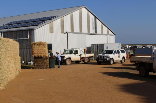 Nambung Country Music Muster
