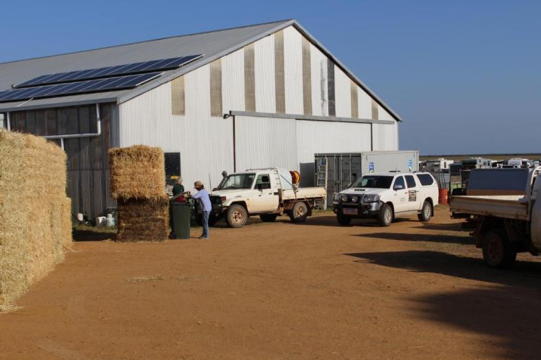 Nambung Country Music Muster