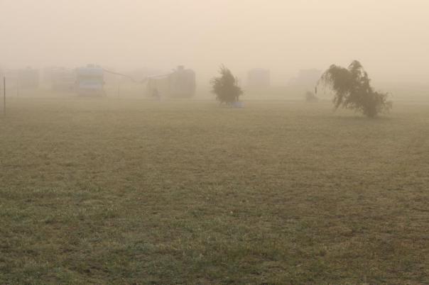 Morgenstimmung nach dem Fest