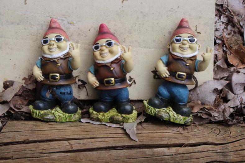 Gnomesville