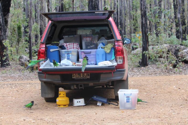 Blue wird inspiziert