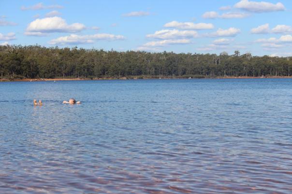Badevergnügen im Stausee, Wellington NP